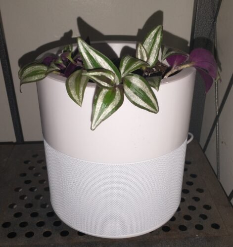Exoplanter™ - A Smart Planter That Needs No Watering photo review