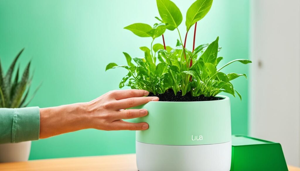 Care and Maintenance of Smart Planter